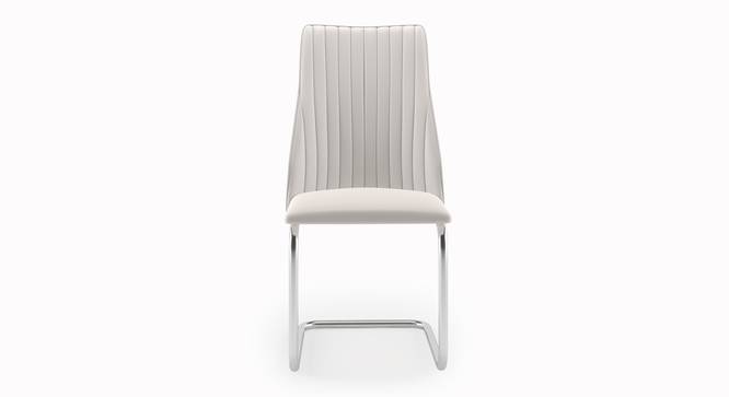 Ingrid Leatherette Dining Chair set of 2 in White Finish