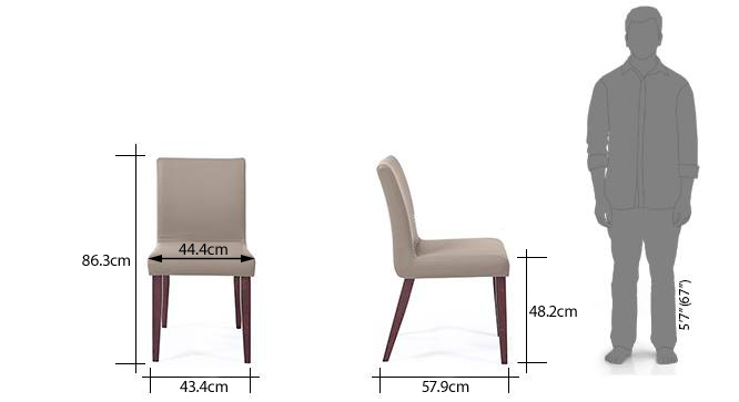 Engineered Wood 6 Seater Dining Table With Set Of Persica Dining Chairs In Dark Walnut Finish
