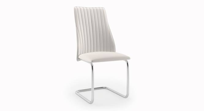 Ingrid Leatherette Dining Chair set of 2 in White Finish