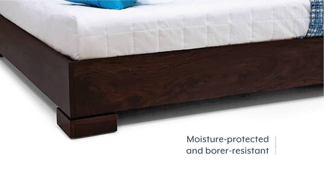Solid Wood Queen Size Bed without Storage in Mahogany Finish